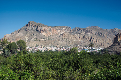 media/201902/ricote1_2019-02-22_13-32-39.jpg